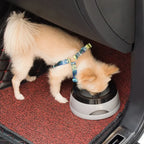 Pet Dog Bowls