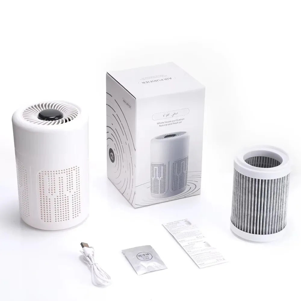 Air Purifier Smoke Odor