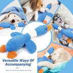 Pet Toys