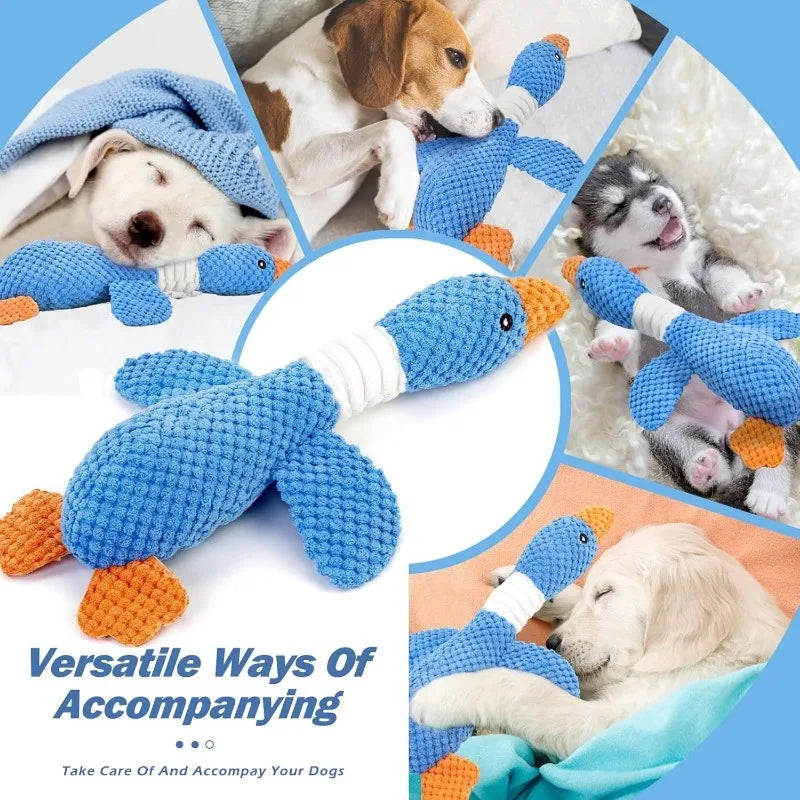 Pet Toys
