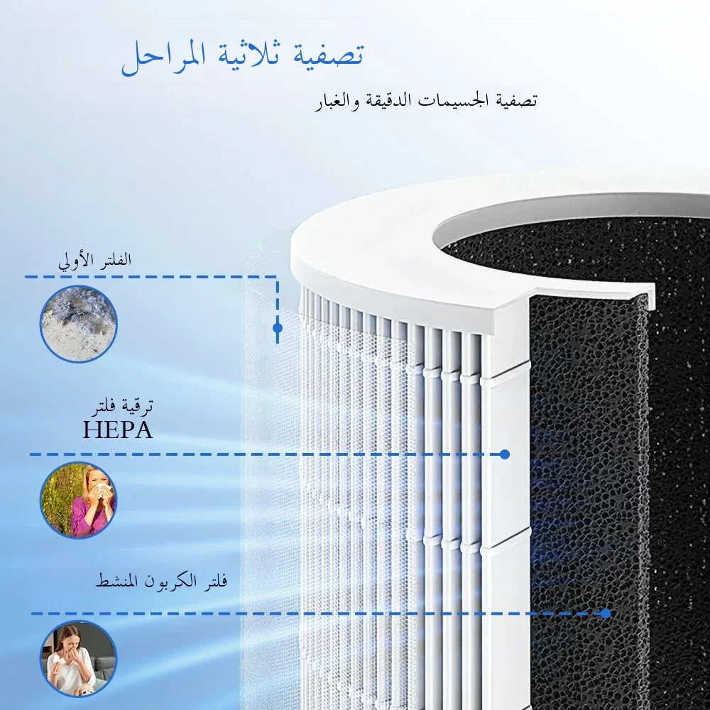 Air Purifier Smoke Odor