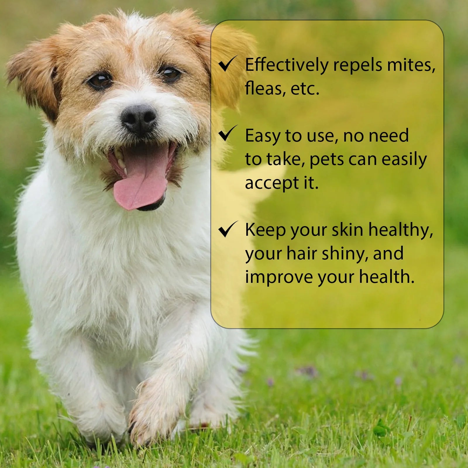 Pet Skin Soothing Drops