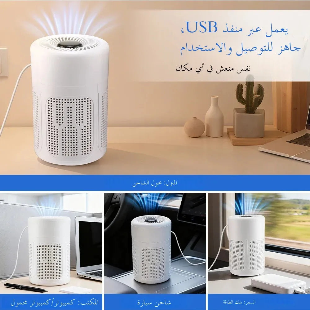 Air Purifier Smoke Odor