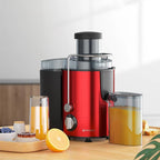 Fruit Juicer