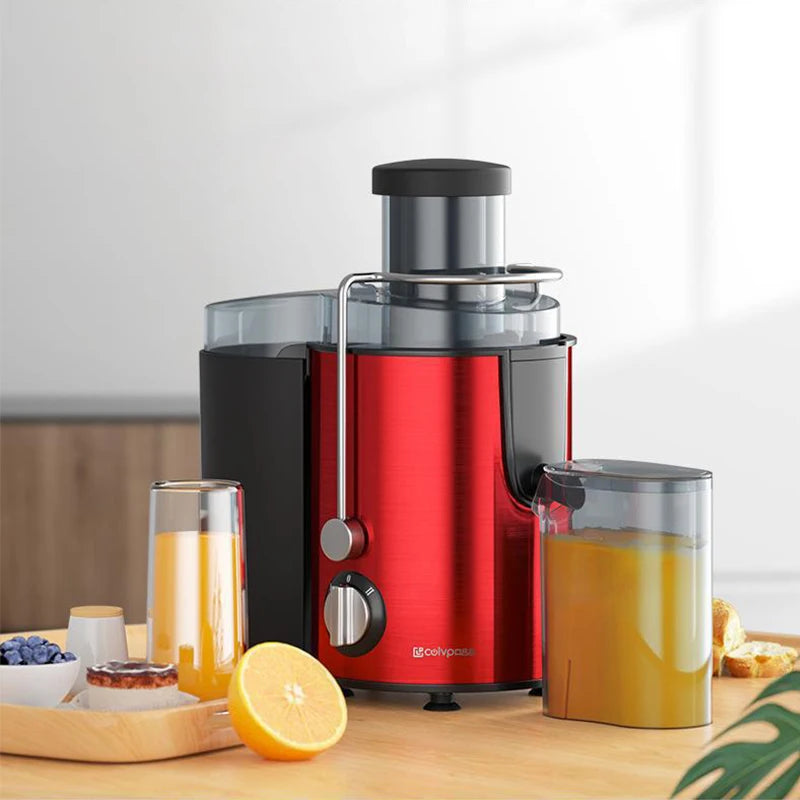 Fruit Juicer