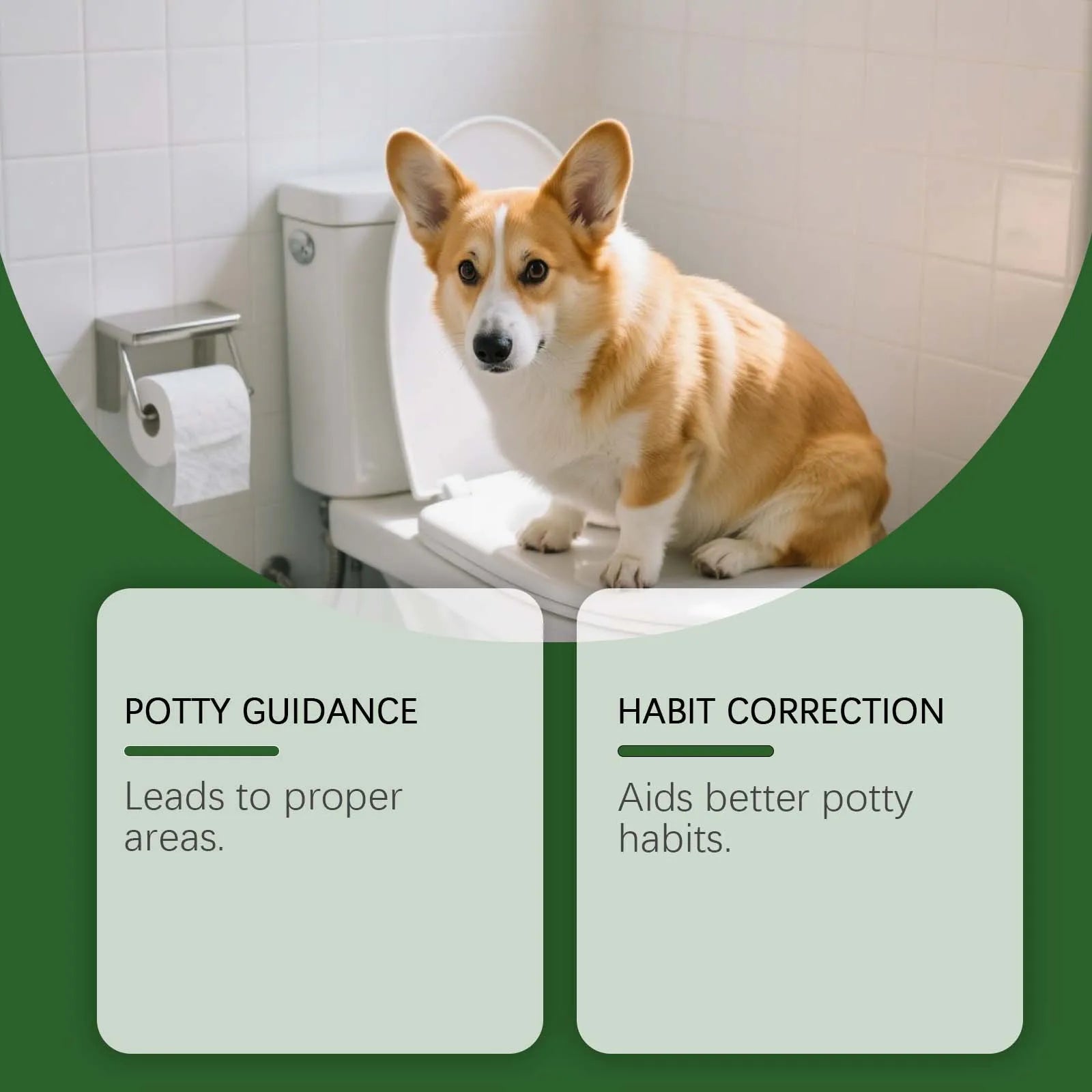 Pet Toilet Training Spray
