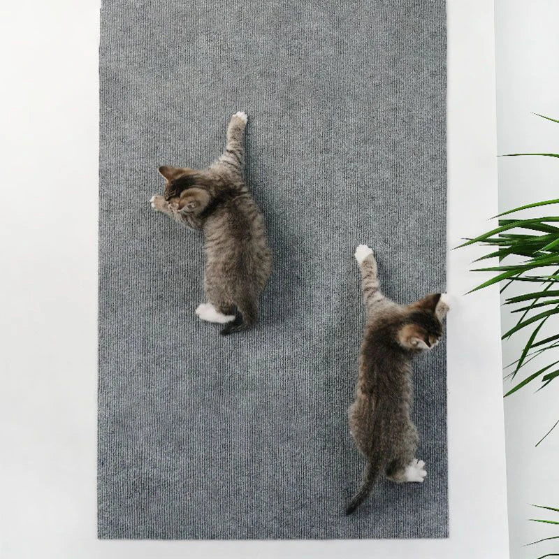 Cat Scratching Mat