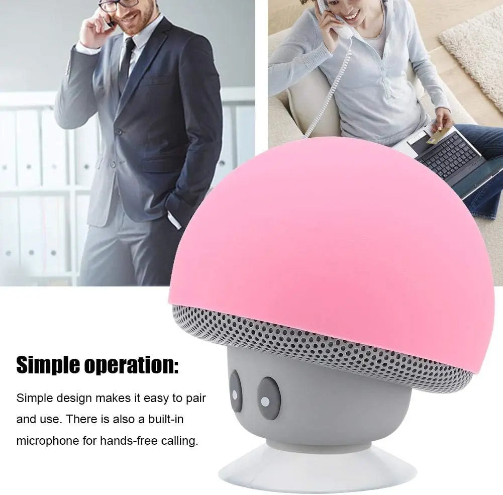 Bluetooth Speaker
