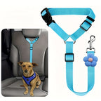 Dog Seat Belt