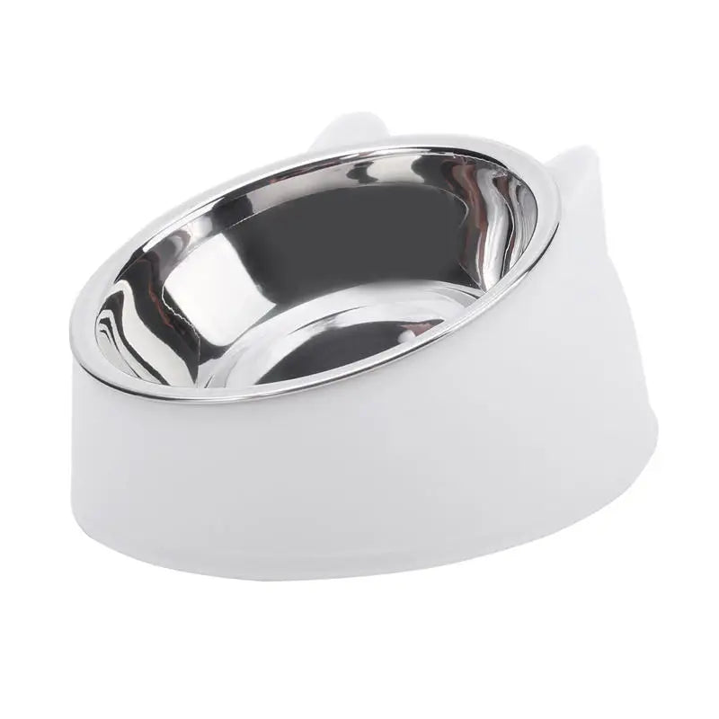 Pet Feeding Bowl