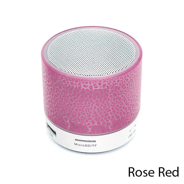 Mini Portable Subwoofer Speaker