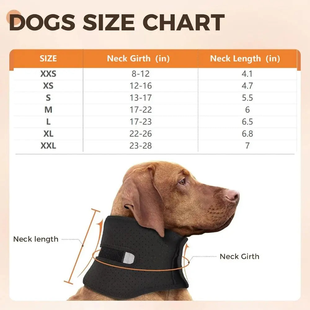 Anti-licking Pet Neck Brace