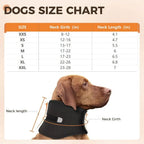 Anti-licking Pet Neck Brace