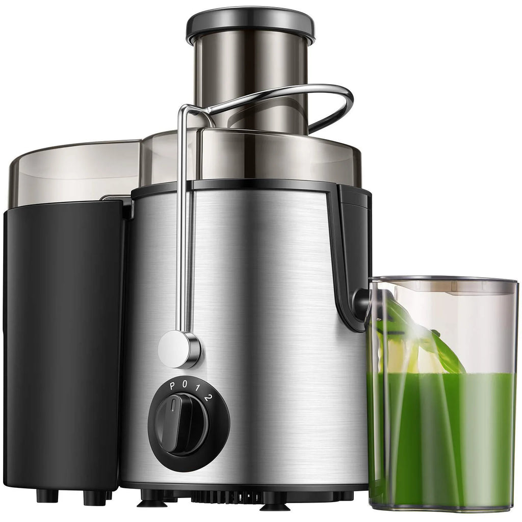 Fruit Juicer
