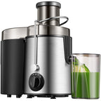 Fruit Juicer