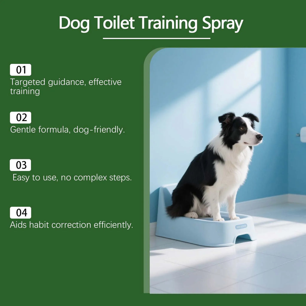 Pet Toilet Training Spray