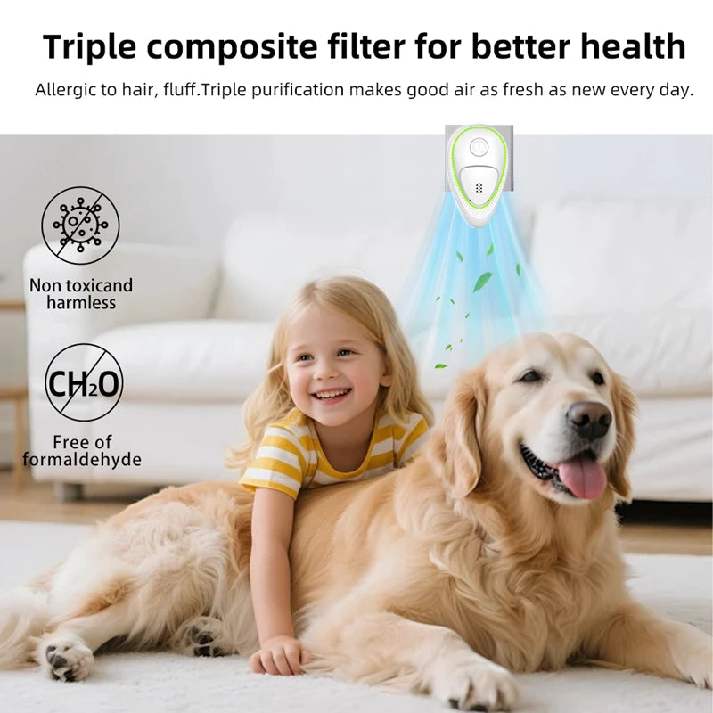 Negative Ion Air Purifier