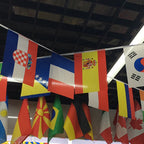 NEW Europe Countries Flag 24pcs