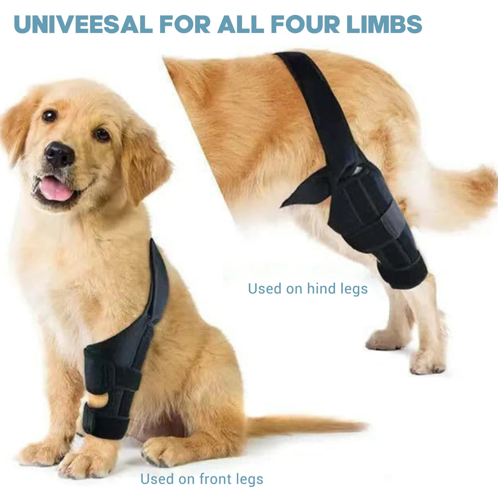 Dog Knee Brace