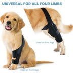 Dog Knee Brace