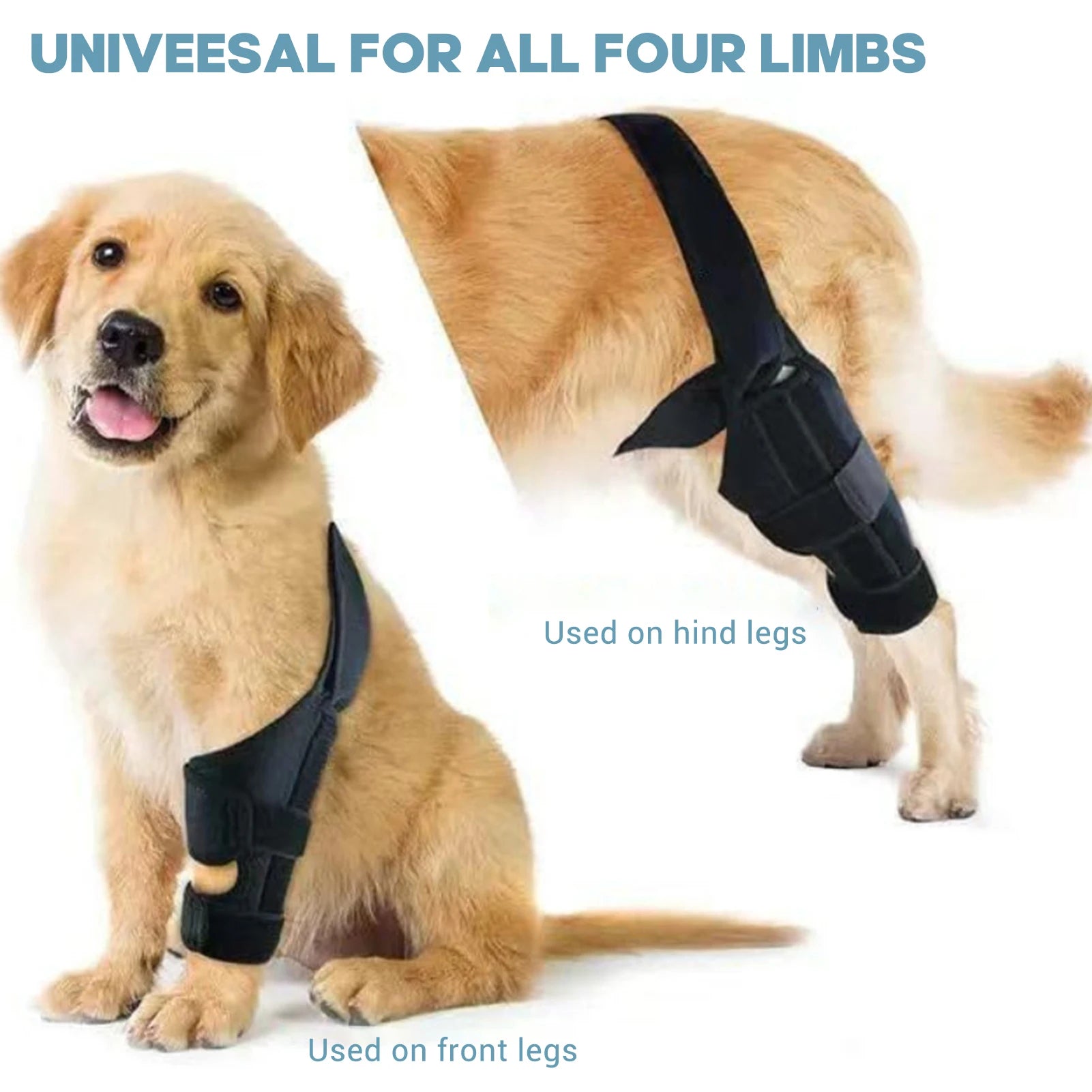 Dog Knee Brace