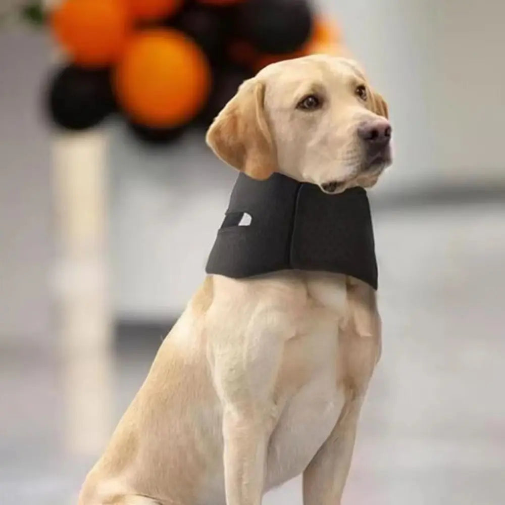Anti-licking Pet Neck Brace