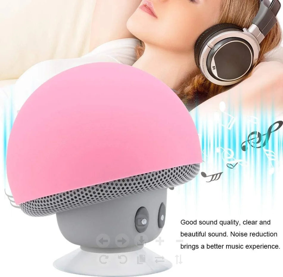 Bluetooth Speaker