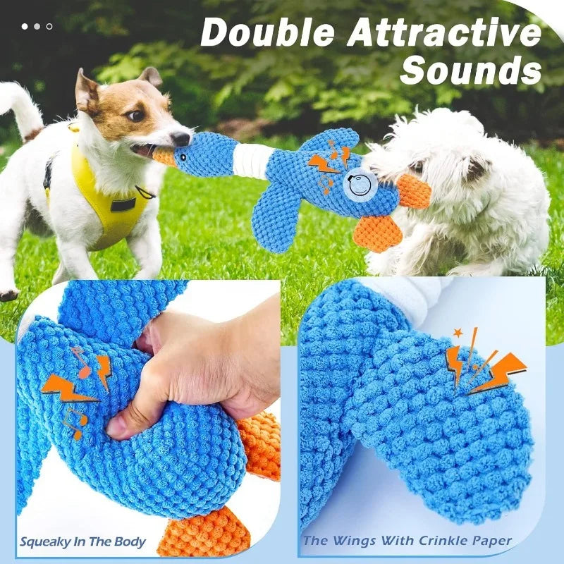 Pet Toys